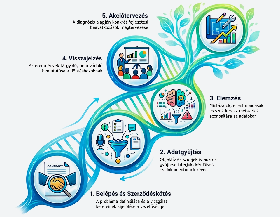 Tribound - Együttműködés folyamata