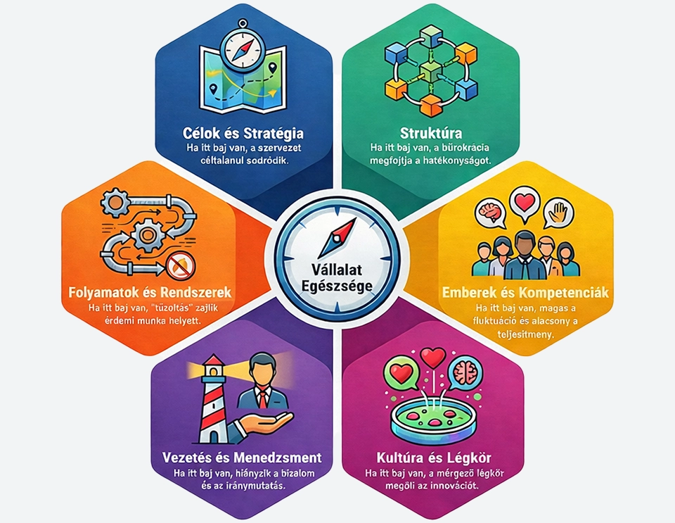 Tribound - Szervezeti diagnosztika